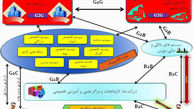 با ظهور اینترنت ملی چه اتفاقی برای کاربران ایرانی خواهد افتاد؟ 