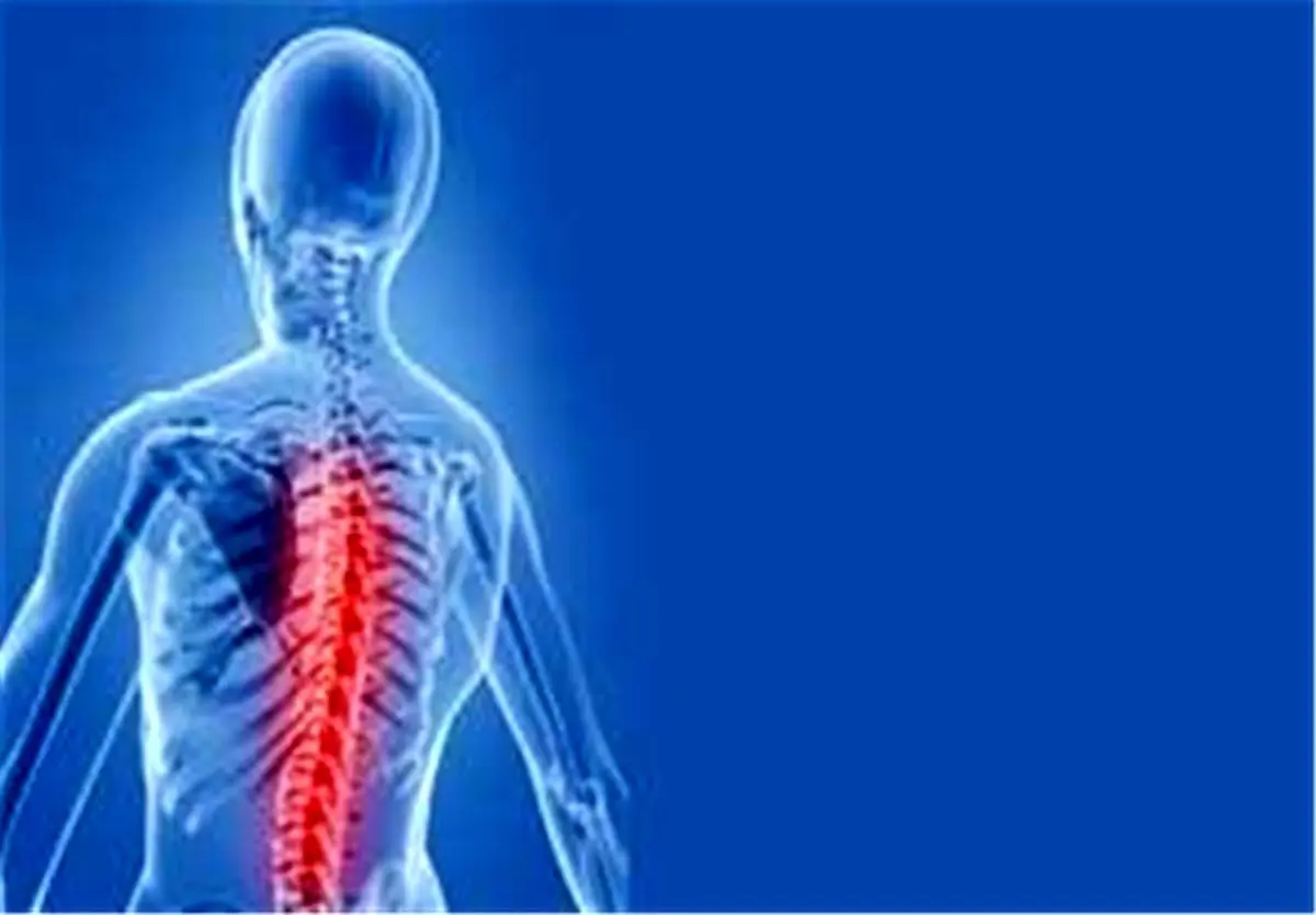 آیا ستون فقرات هم پیر می‌شود؟