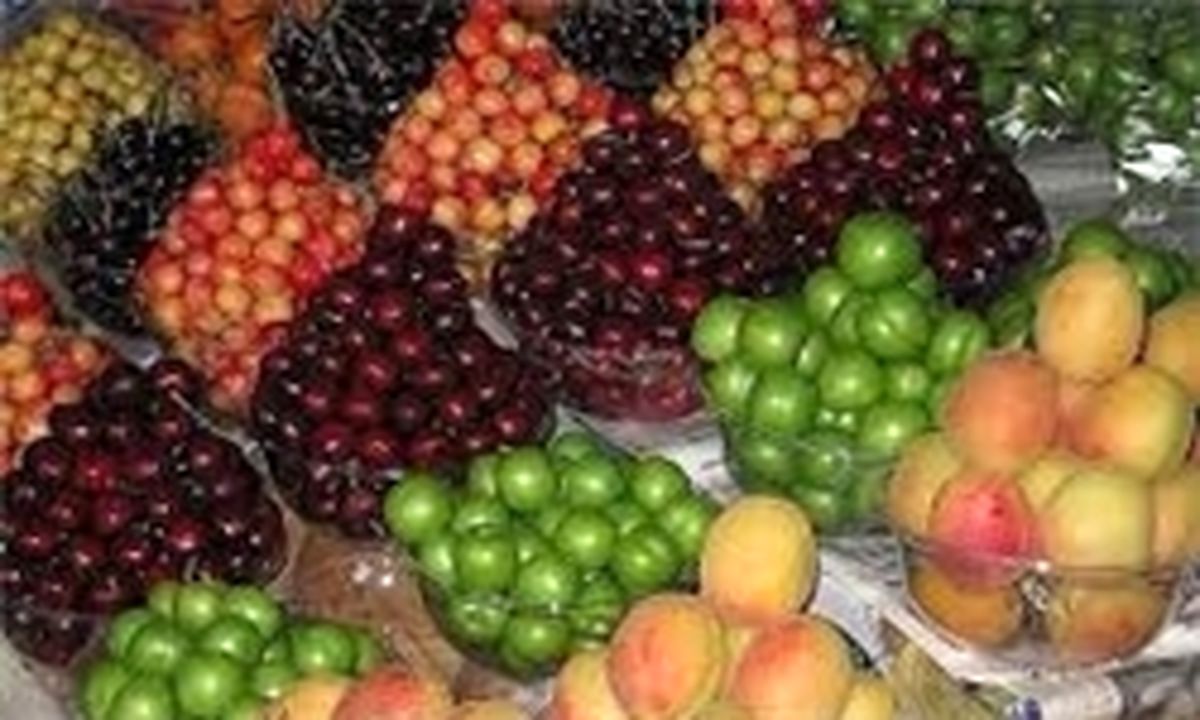 متولی مبارزه با قاچاق میوه کیست؟