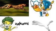 یوزپلنگ امشب به برنامه نود می‌رود