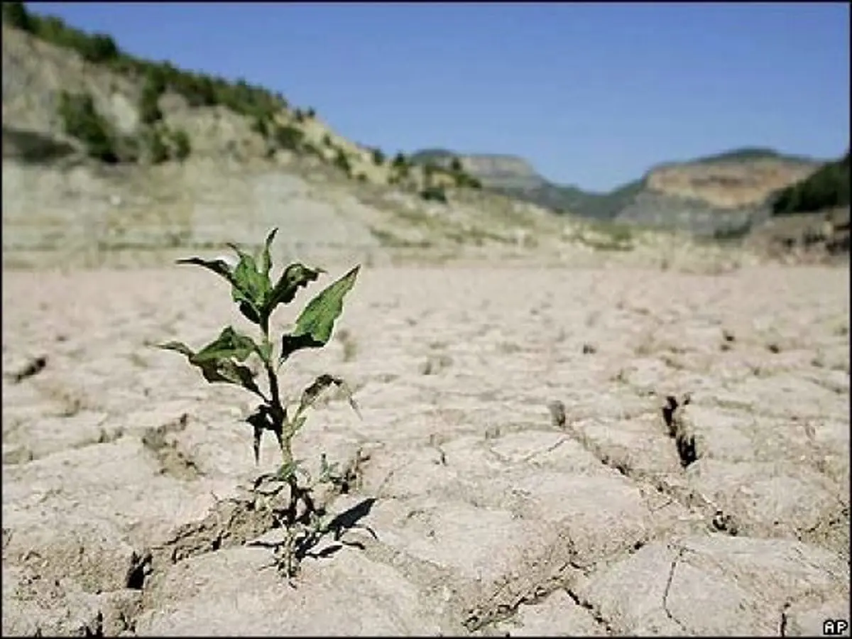 کاهش ۴۶ درصدی بارندگی سال جاری آبی