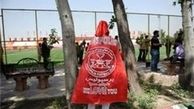 رویانیان و پیشکسوتان خواهان خرید سهام پرسپولیس