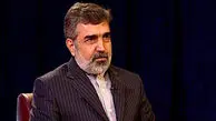 مخاطره اعتبار سند بازطراحی رآکتور اراک با نقض تعهد 