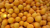 قیمت میوه شب عید تعیین شد