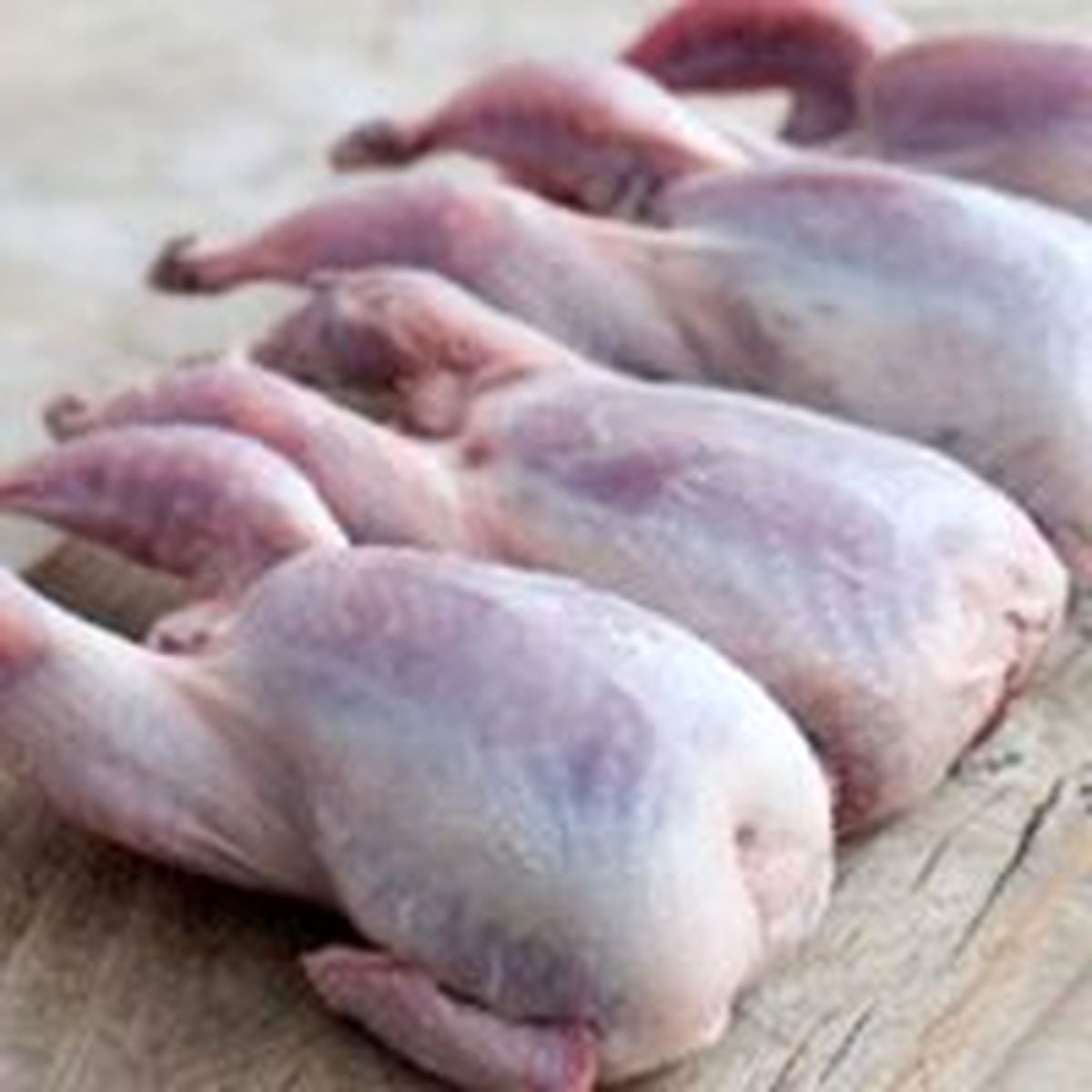 فواید بی نظیر گوشت بلدرچین