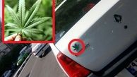  مصرف ماری‌جوانا آزاد می شود؟ 