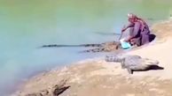 زندگی مسالمت‌آمیز یک مرد با تمساح‌ها!+ فیلم