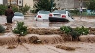 بارش برف و باران در ۲۰ استان/ هموطنان تا فردا از سفر‌های غیرضروری پرهیز کنند