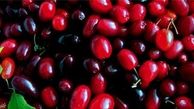 خواندنی های جالب درباره ذغال اخته