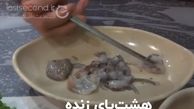 غذای لذیذ ایرانی در میان چندش‌آور‌ترین غذاهای دنیا !