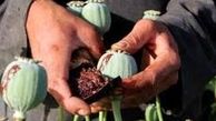 کشف تریاک از معده ۳ نفر در ملایر