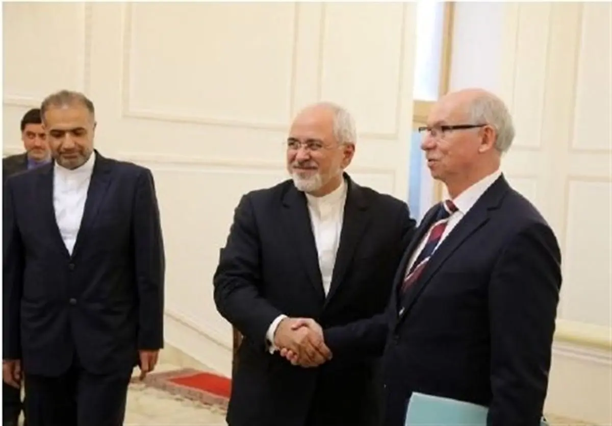 دیدار رئیس گروه روابط با ایران پارلمان اروپا با ظریف