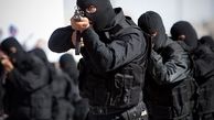نقوی حسینی: حتی یک مورد حرکت تروریستی در کشور نداشته ایم