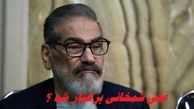 آیا علی شمخانی برکنار شد ؟