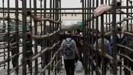 جزئیات امکانات بهداشتی و درمانی برای ۲۵ روز راهپیمایی اربعین