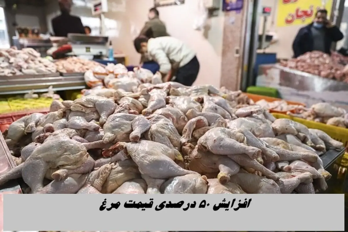 افزایش ۵۰ درصدی قیمت مرغ !