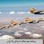مرحله دوم جنگ با ایران کی شروع می شود ؟