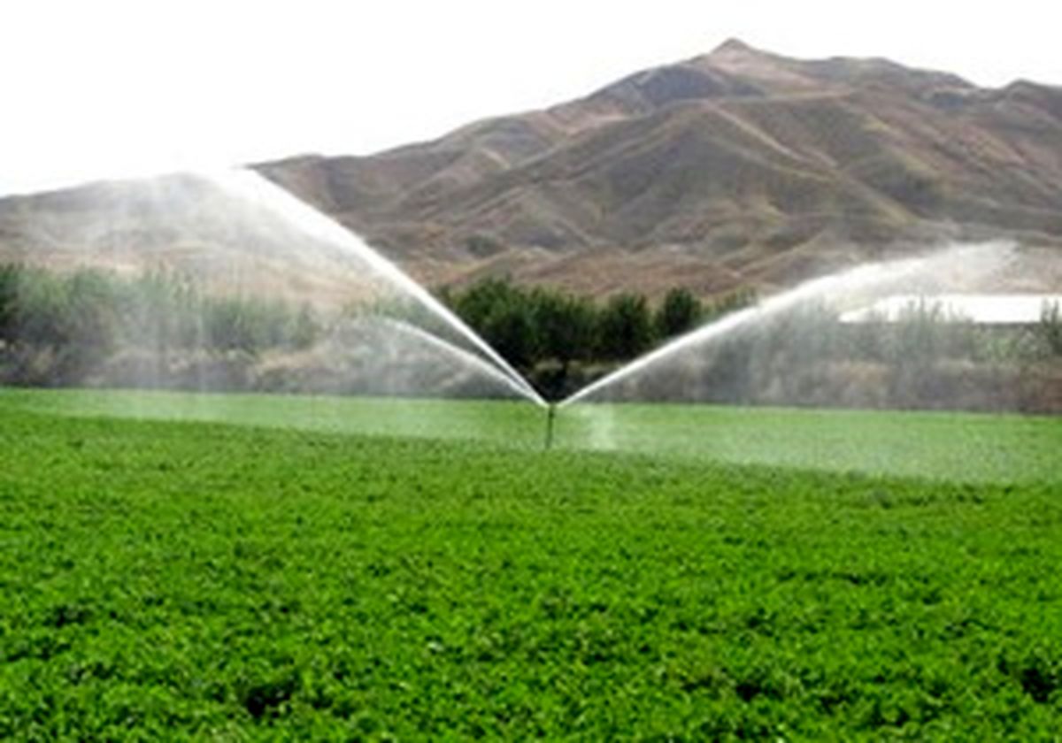 افزایش بهره وری تولید در گرو توسعه سامانه های نوین آبیاری