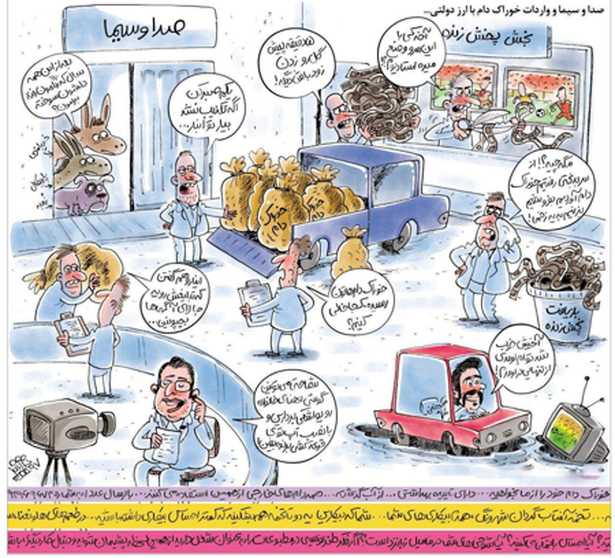 صدا و سیما و واردات خوراک دام با ارز دولتی