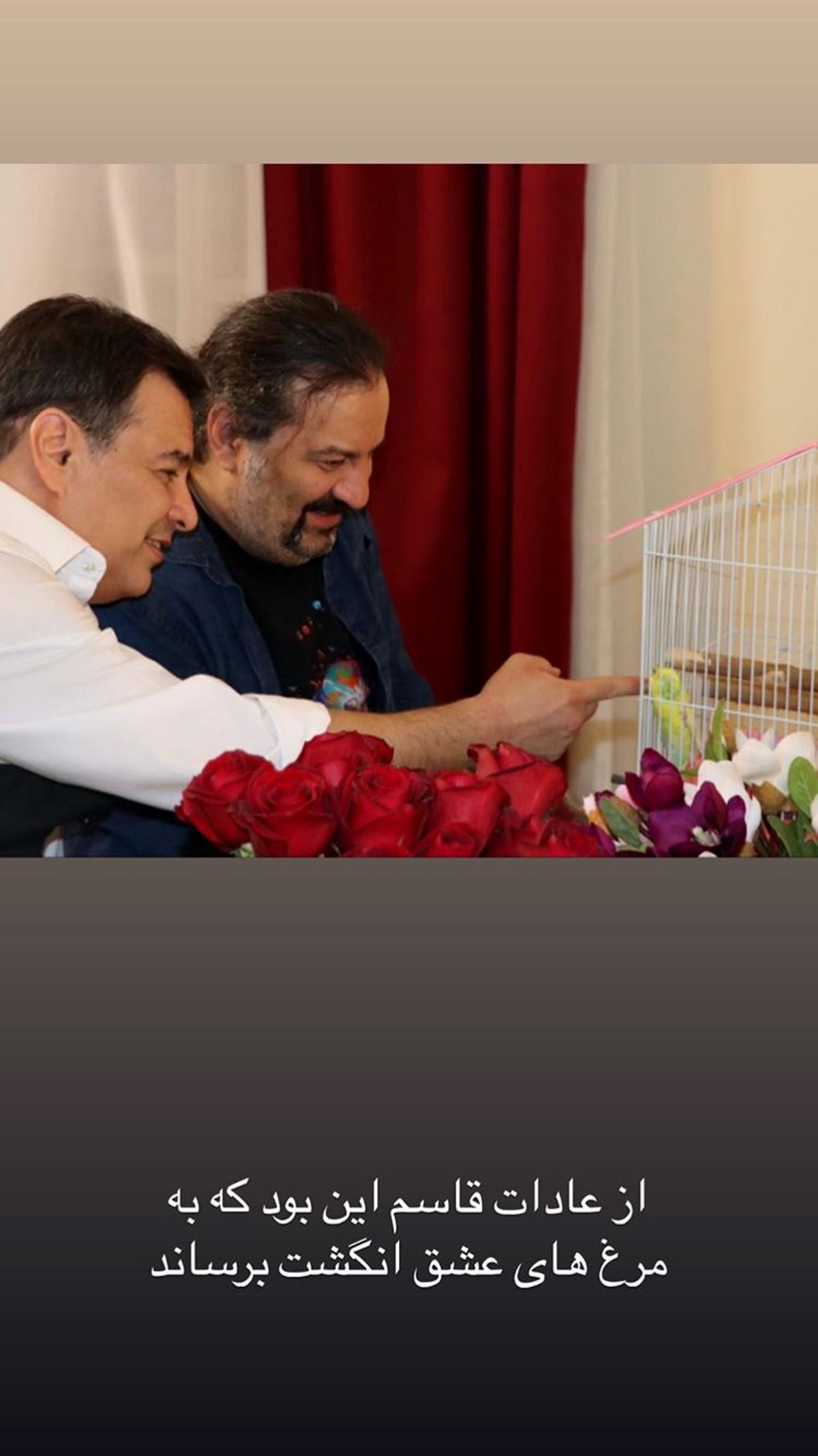مرغ عشق کوچک برادران قاسم خانی + عکس