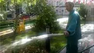 نگهداشت شهر با ۳۱ هزار کارگر فضای سبز و رفت و روب