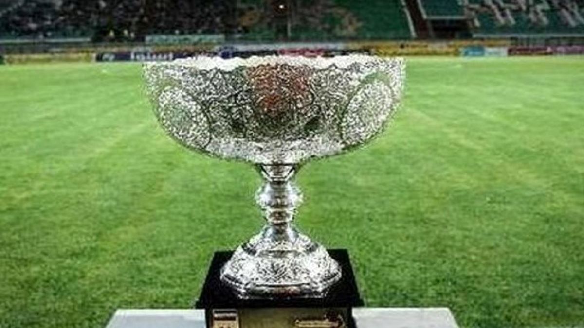 خواننده دو ملیتی برای جام ملتها می‌خواند