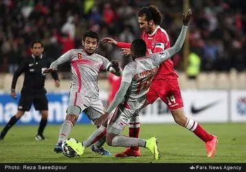 13931205214108884_PhotoL