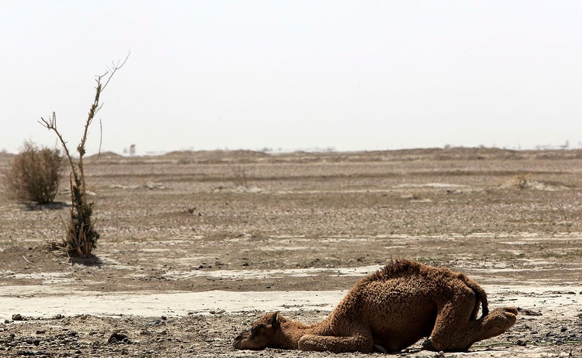 خشک شدن جازموریان در جنوب کرمان؛ و شاید خوزستانی دیگر