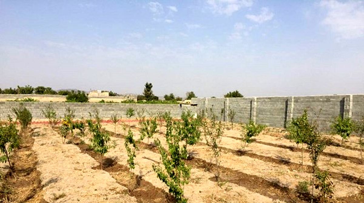 قیمت زمین باغی شهریار