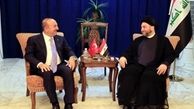 دیدار وزیر امور خارجه ترکیه با «سید عمار حکیم»