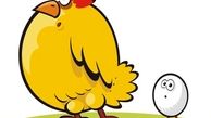 قیمت مصوب مرغ و تخم مرغ اعلام شد