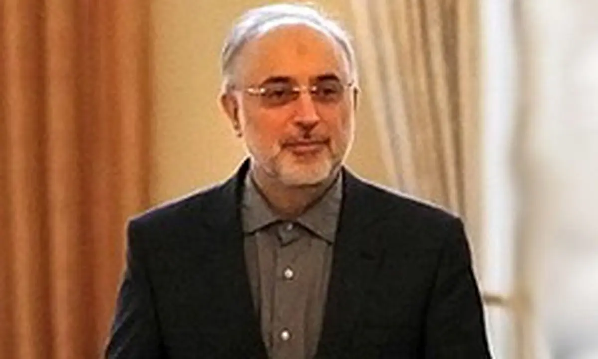 دیدار فرستاده رئیس جمهور نیجر با صالحی