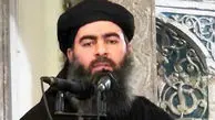 ادعای بازداشت "ابوبکر البغدادی" توسط روسیه