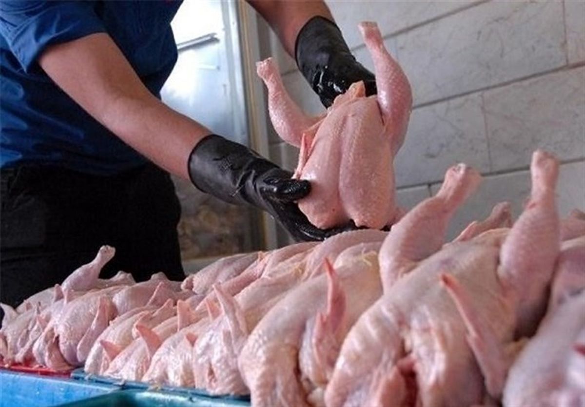 گران‎فروشی مرغ بالاتر از نرخ ستاد تنظیم بازار 