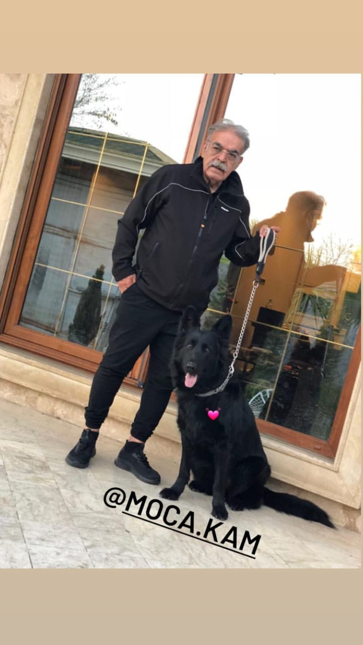 سگ خاص حمید لولایی + عکس