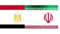 صالحی و البرادعی در گفت‌وگوی تلفنی‌شان چه گفتند؟