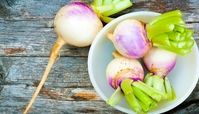 خواص شلغم پخته برای سرماخوردگی و کرونا | 6 روش مصرف شلغم برای بیماری