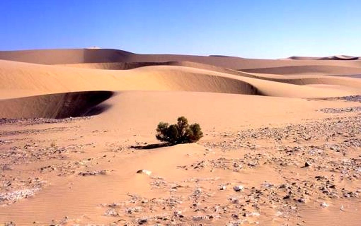 بيابان زدایی و چالش هاي آن درسيستان و بلوچستان