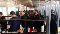 مرز مهران بازگشایی شد | از سرگیری اعزام های زمینی به عتبات