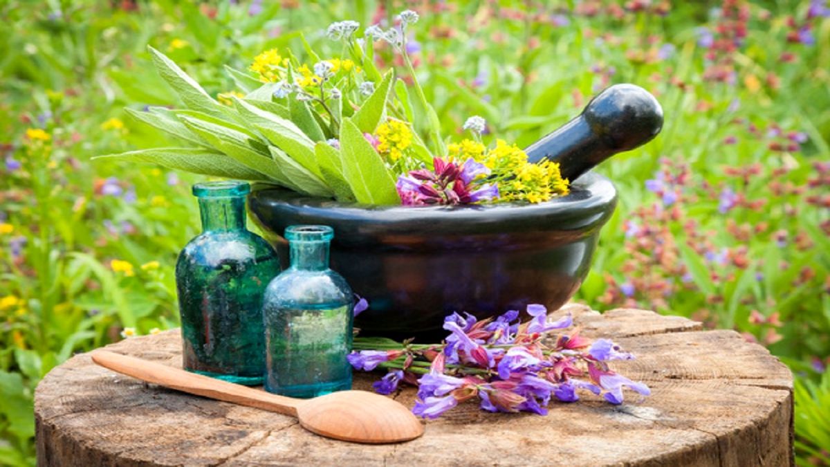 خواص کاسنی/از بین بردن جای جوش با کاسنی