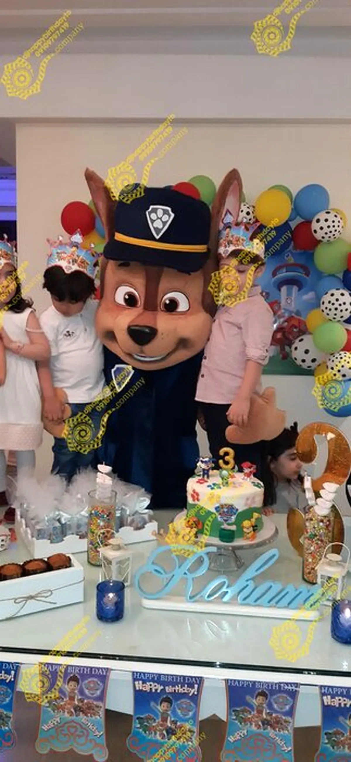 اجاره ساعتی مدل‌های کارتونی برای جشن تولدهای لاکچری