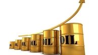  قیمت نفت ۳ دلار افزایش یافت 