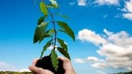 محکومیتی که منجر به استخدام شد