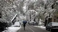 پایتخت برفی با درختان شکسته و صف‌های طولانی تاکسی و اتوبوس
