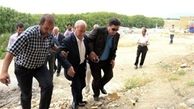 چرا در هیات مدیره استقلال مثل پرسپولیس دعوا نمی شود؟