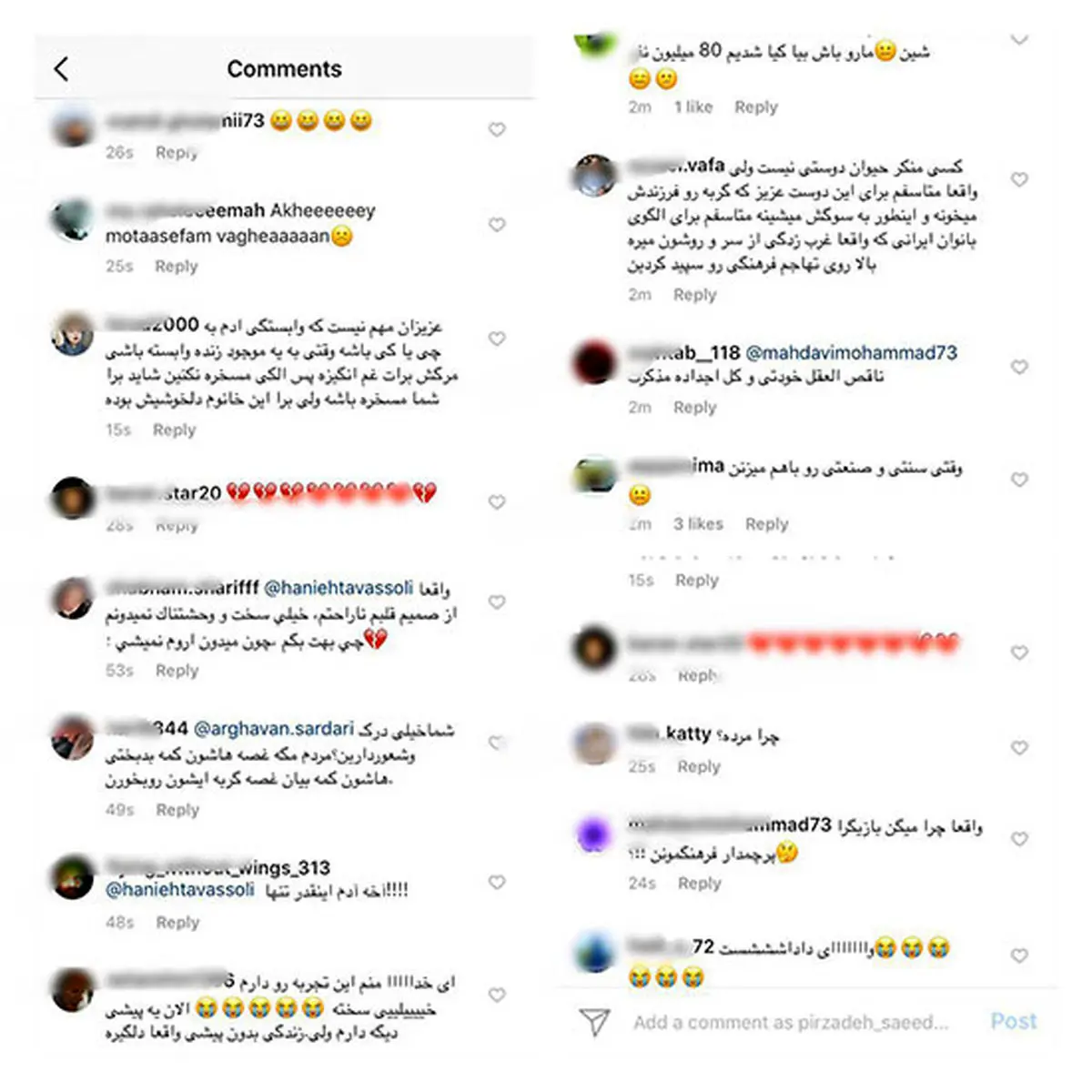 واکنش جنجالی طنز کاربران به مرگ گربه هانیه توسلی/عکس