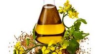هشدار درباره مواد مضر روغن‌های گیاهی