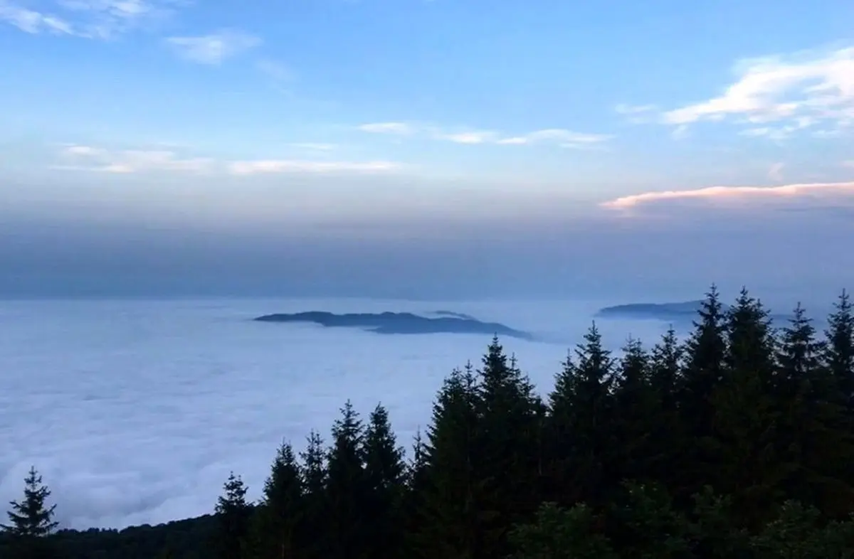 شعر زیبای پردیس احمدیه برای مولا علی(ع)