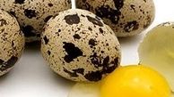 فواید بی نظیر تخم بلدرچین برای کودکان