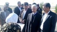 تقویت رشته باستان شناسی در کشور/ساماندهی مراکز آموزشی در دستور کار